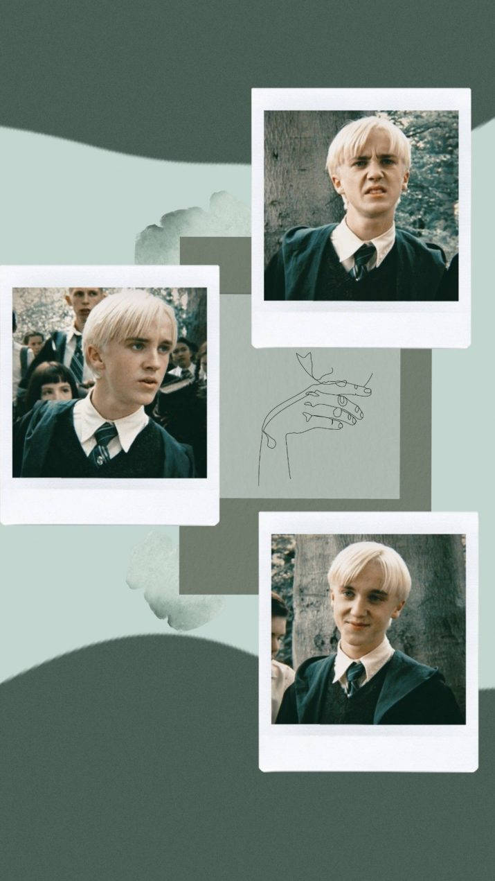 เดรโก มัลฟอย โพลารอยด์ สุนทรียภาพ วอลเปเปอร์