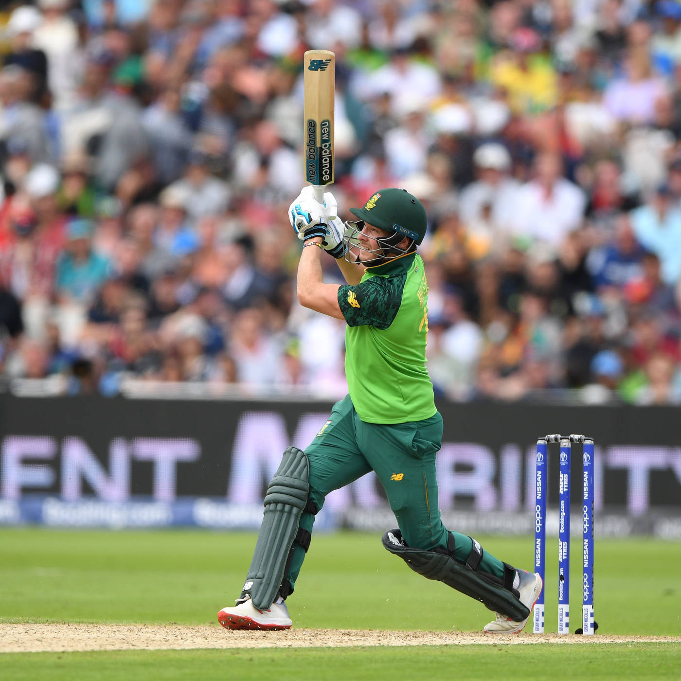 เดวิด มิลเลอร์ ชุดสีเขียว วอลเปเปอร์