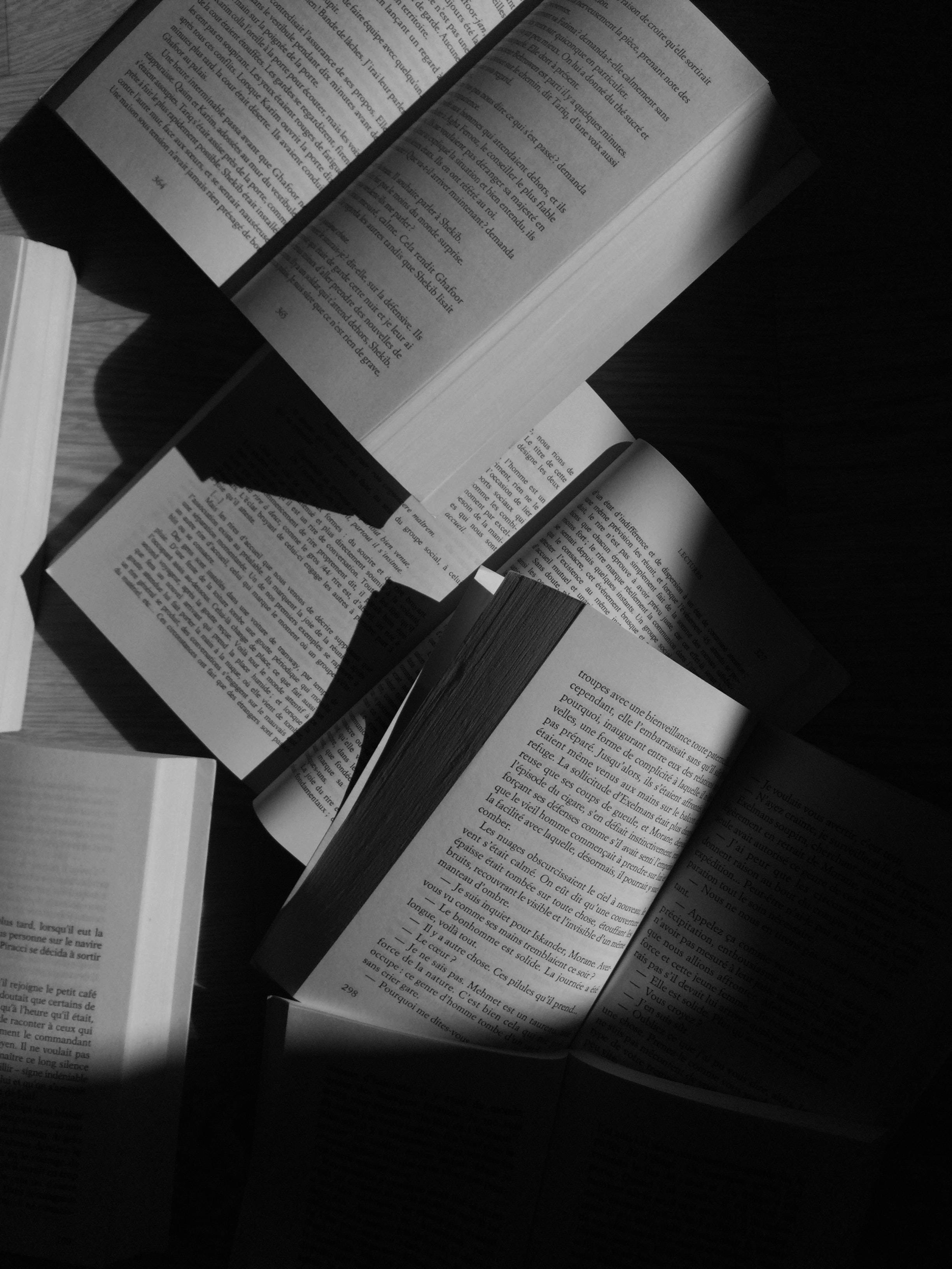 เดสก์ท็อปหนังสือสไตล์โมโนโครม วอลเปเปอร์