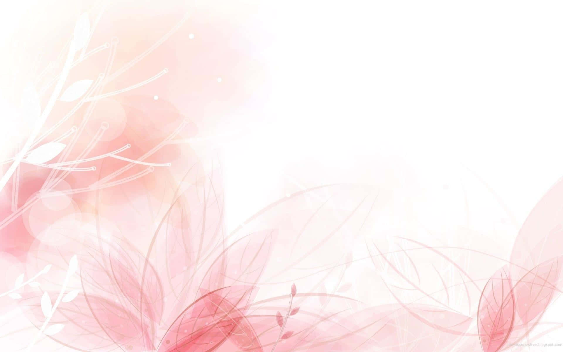 เติมสีสันให้ชีวิตของคุณด้วยพื้นหลังสีชมพูน่ารักสวยงามนี้ วอลเปเปอร์
