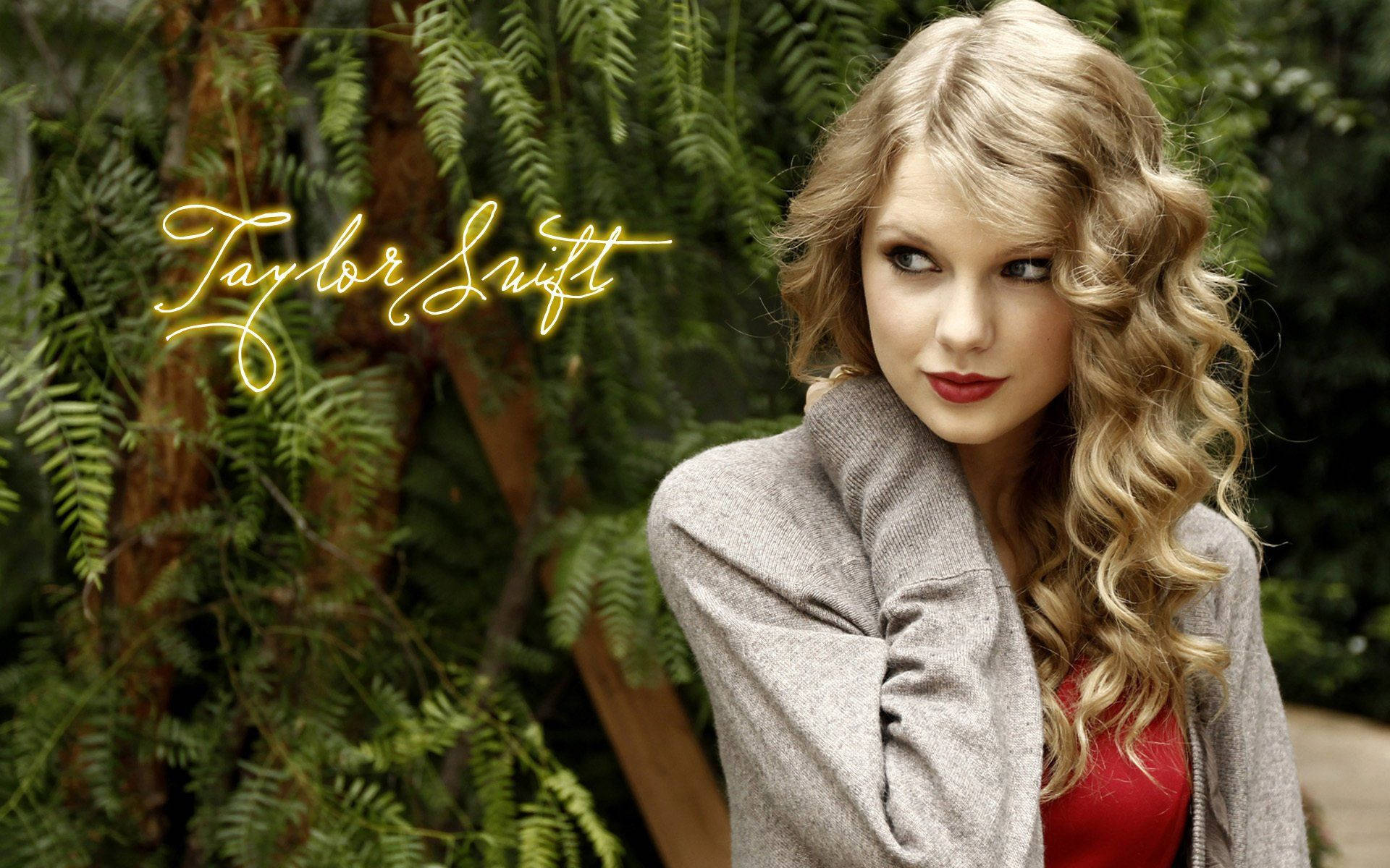 คอลเลกชันเพลงเทย์เลอร์ สวิฟต์กับเธอมองไปด้านข้าง — Taylor Swift วอลเปเปอร์