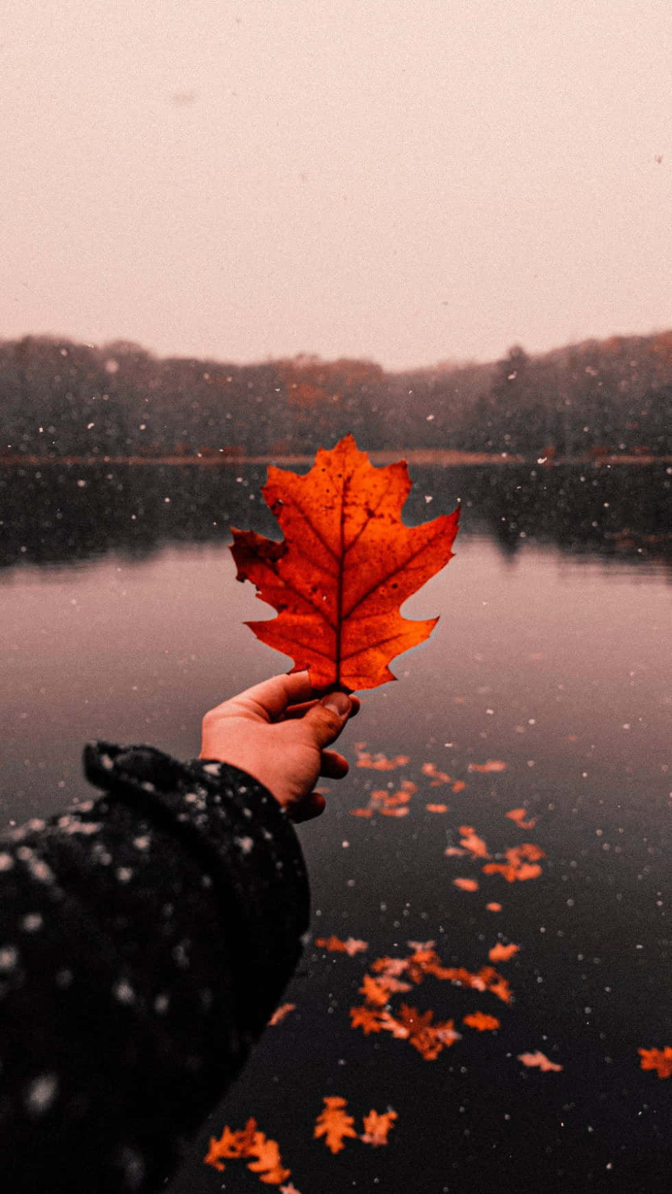เพลิดเพลินกับความงามของฤดูใบไม้ร่วง วอลเปเปอร์