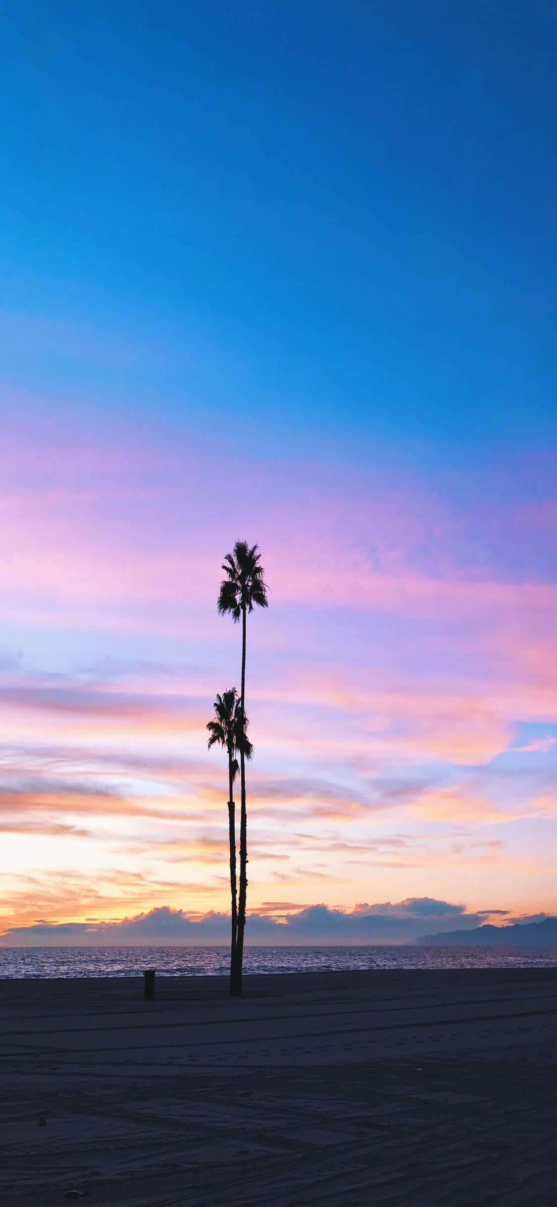 เพลิดเพลินกับชีวิตในรัฐทองคำด้วย iPhone X California วอลเปเปอร์