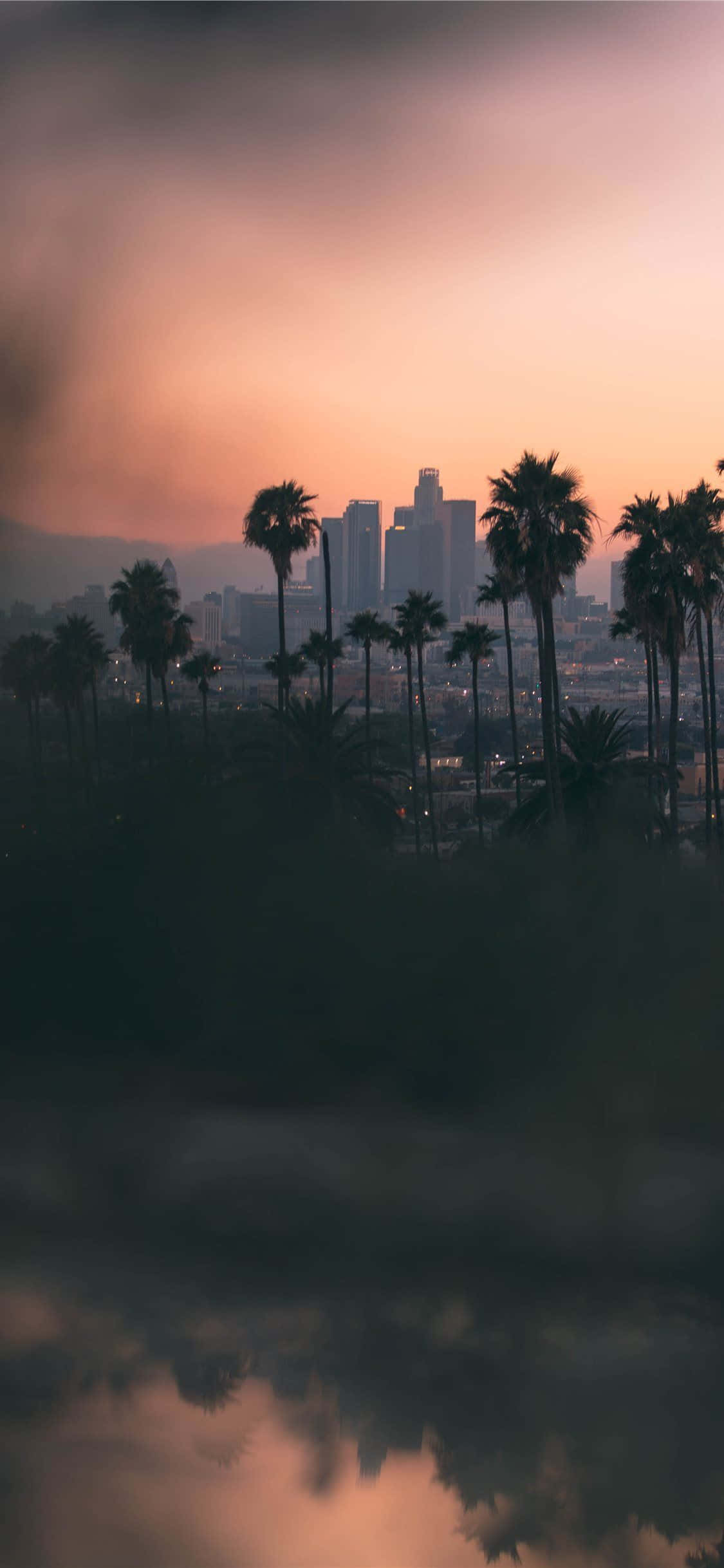 เพลิดเพลินกับวิวสวยของแคลิฟอร์เนียขณะใช้ iPhone X วอลเปเปอร์