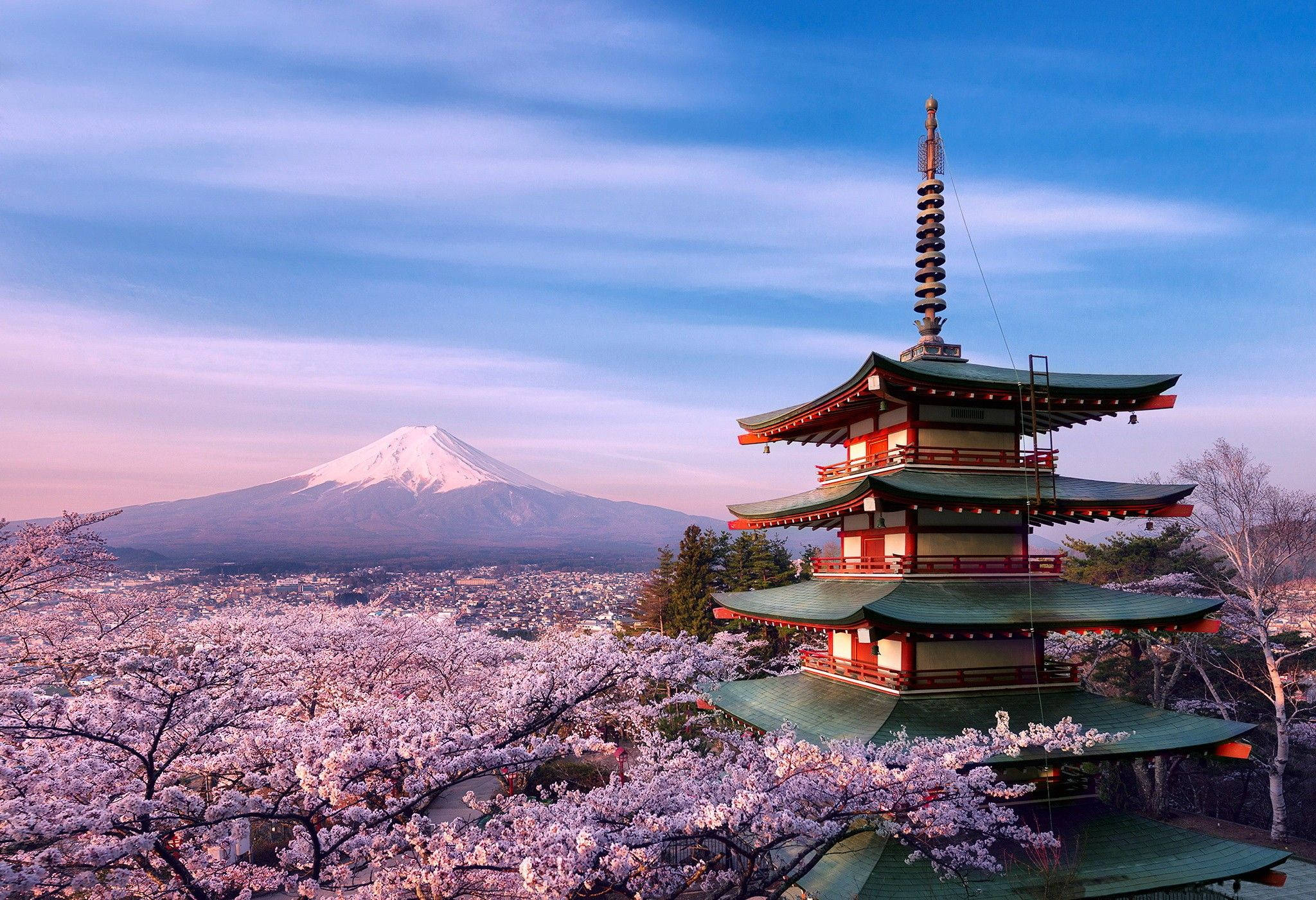 เพลิดเพลินกับวิวซากุระที่สวยงามในญี่ปุ่น วอลเปเปอร์