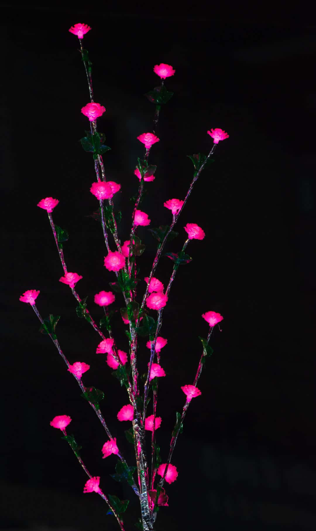 เพลิดเพลินกับโลกใต้ทะเลสุด whimsical วอลเปเปอร์