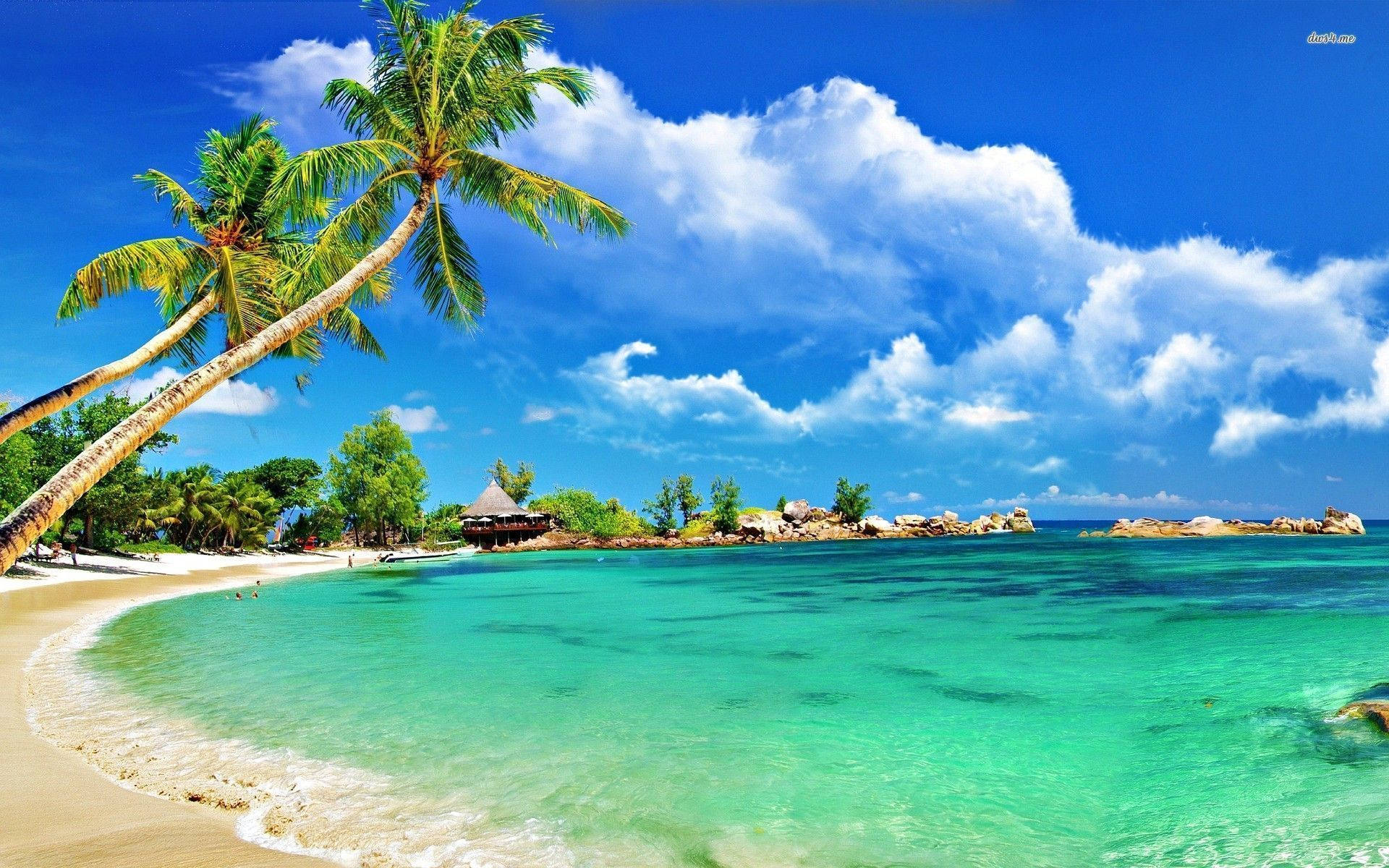 แนวชายฝั่งเขตร้อนของมอนเตโกเบย์ — ชายหาด วอลเปเปอร์