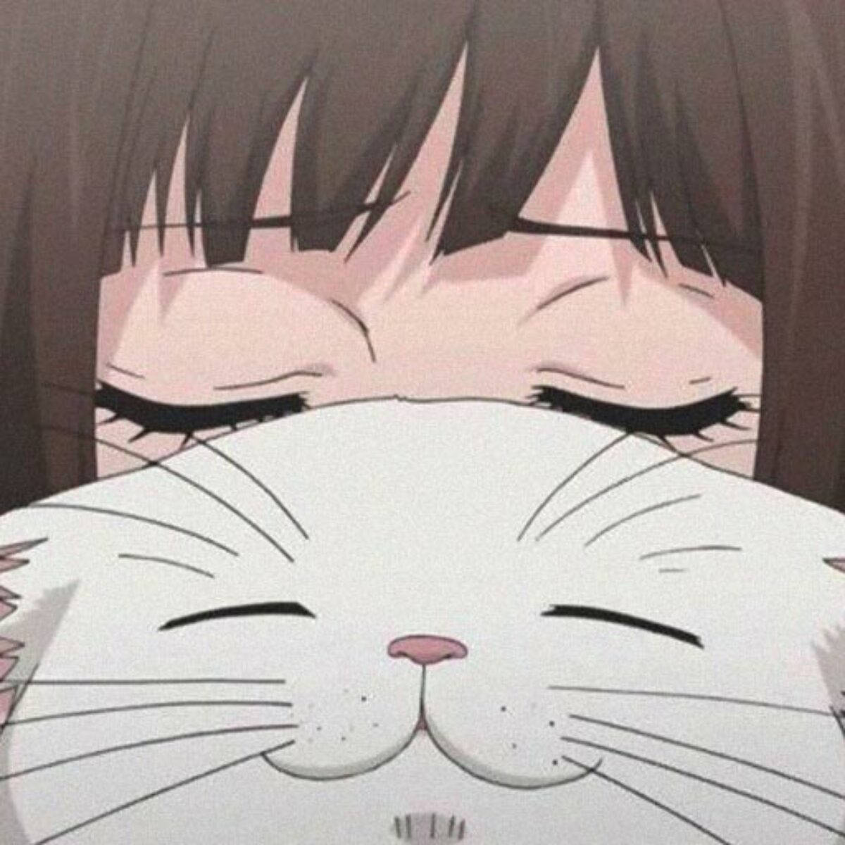 แมวPFPน่ารักกับสาวอนิเมะ วอลเปเปอร์