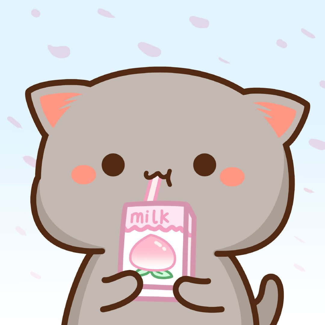 แมวดื่มนมจากกล่อง วอลเปเปอร์