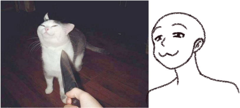 แมวสุภาพ มีมและภาพวาด วอลเปเปอร์