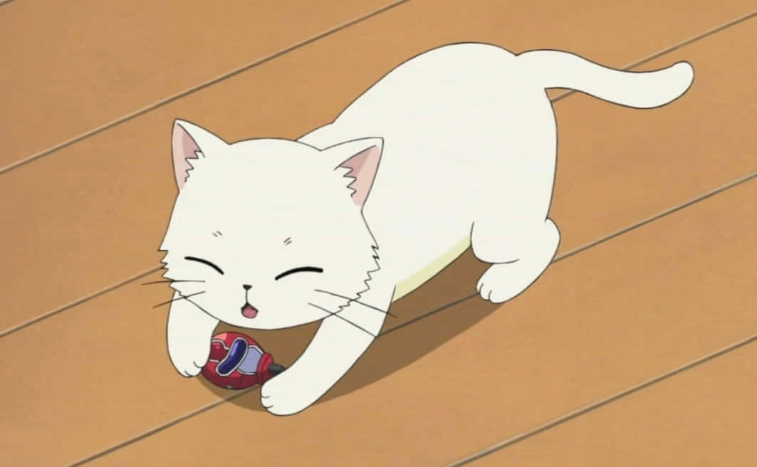 แมวอนิเมะน่ารักออกผจญภัย วอลเปเปอร์