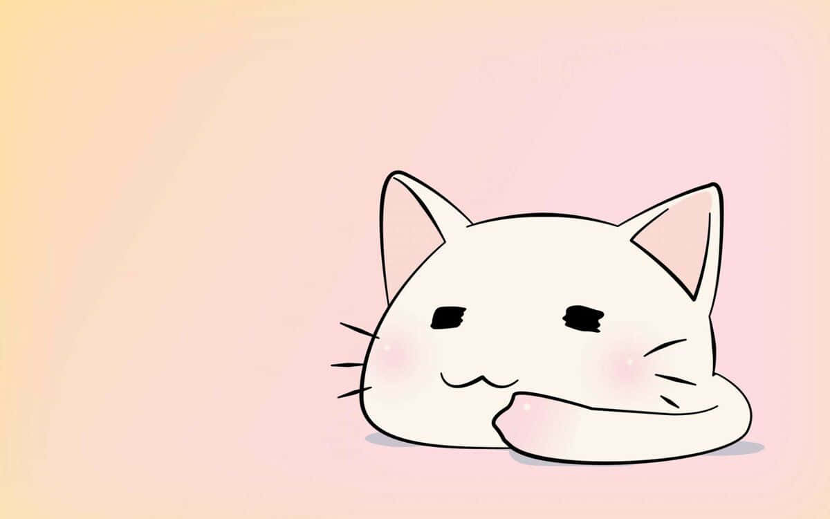 แมวอนิเมะน่ารักในร้านขายสัตว์เลี้ยง วอลเปเปอร์