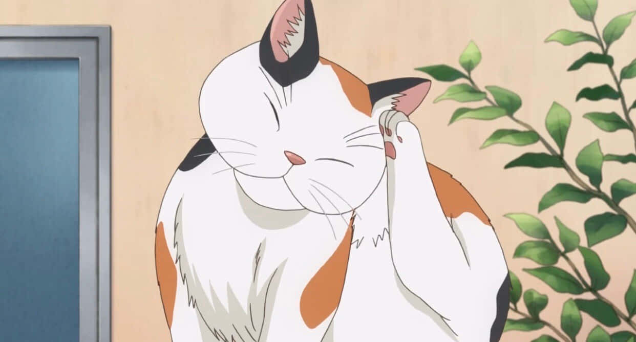 แมวอนิเมะสุดน่ารักใส่แว่นตา! วอลเปเปอร์