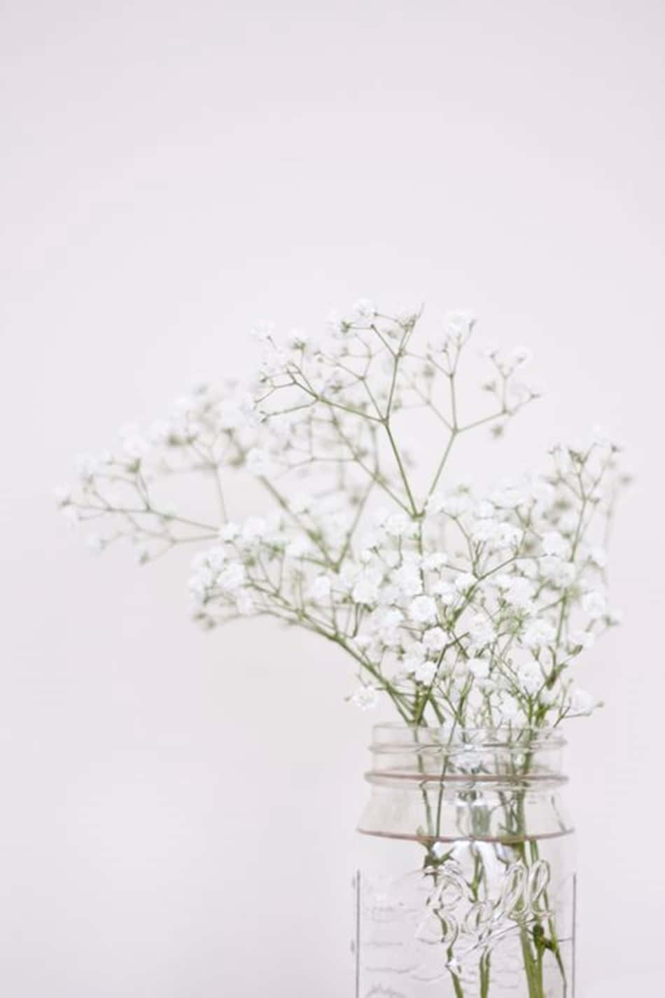 แรงบันดาลใจจากความงามสีขาว วอลเปเปอร์