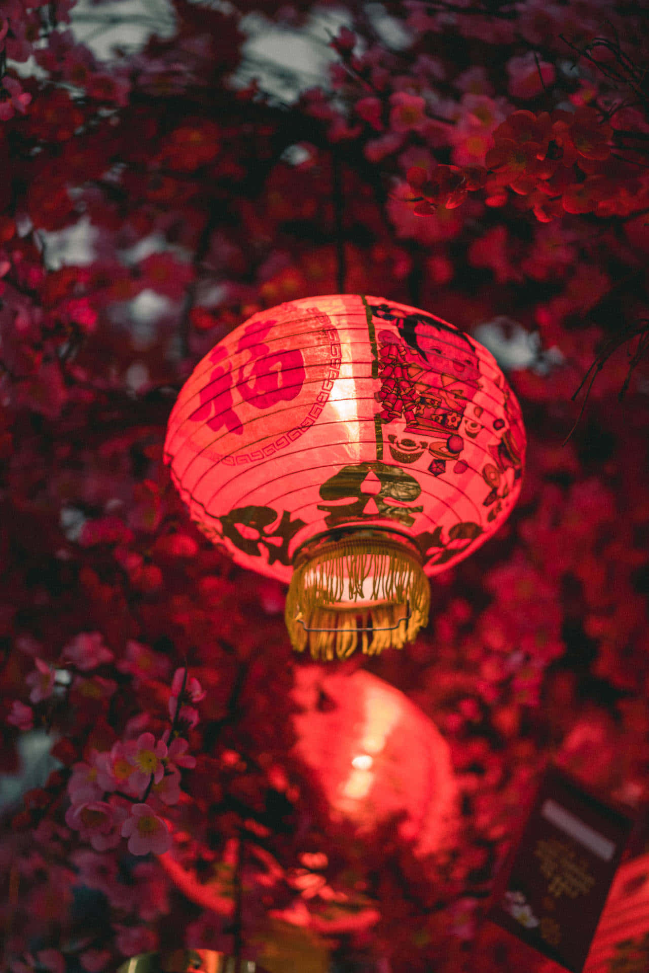 โคมไฟสีสันสดใสส่องสว่างถนนโบราณของจีน วอลเปเปอร์