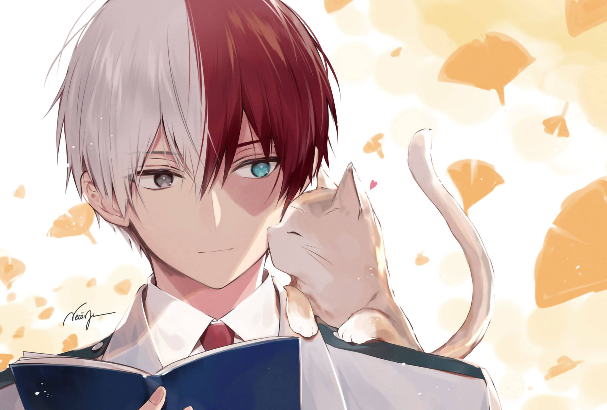 โทโดโคริสุดน่ารักกับแมว วอลเปเปอร์