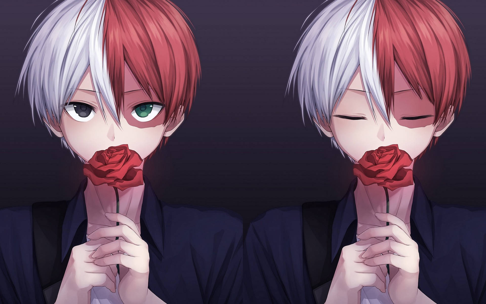 โทโดโรกิสุดน่ารักถือกุหลาบแดง วอลเปเปอร์