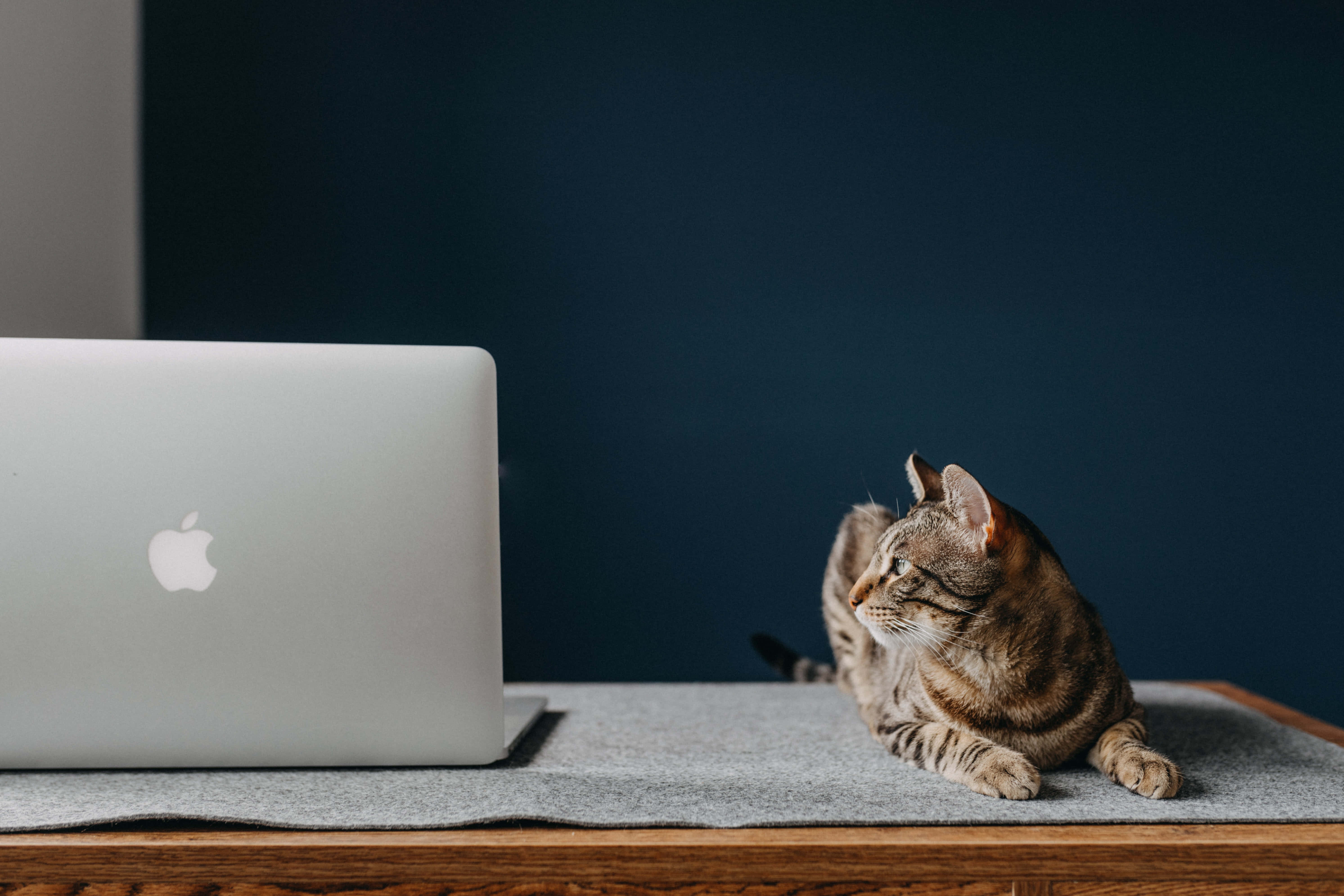 โน้ตบุ๊ก Macbook คลาสสิกดีไซน์มินิมอล วอลเปเปอร์
