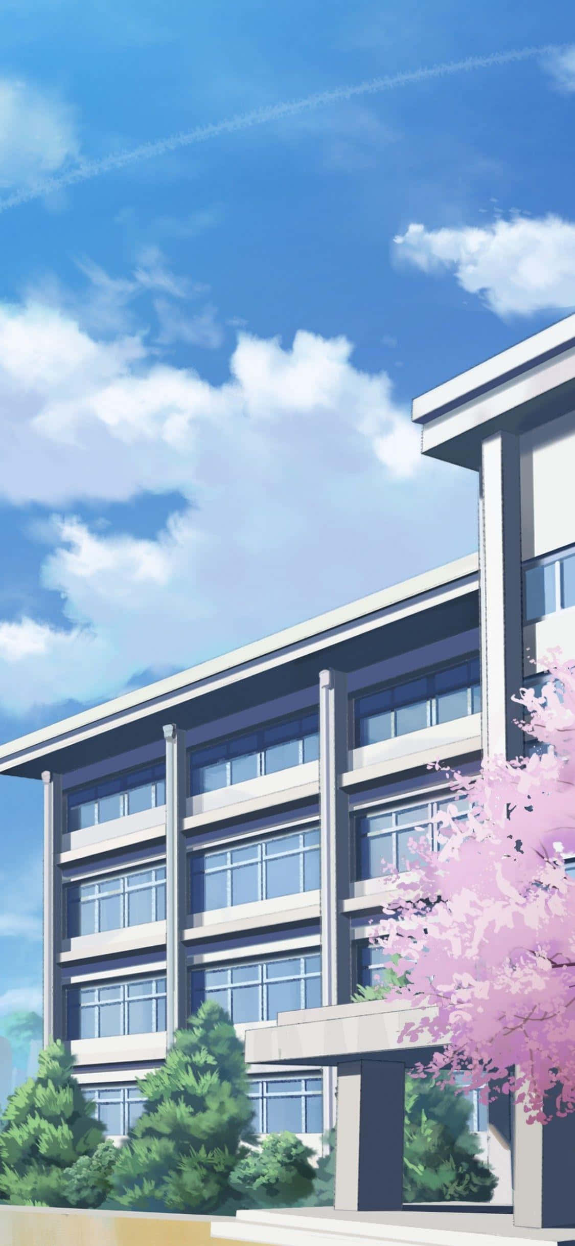 โรงเรียนอนิเมะกับต้นซากุระ วอลเปเปอร์