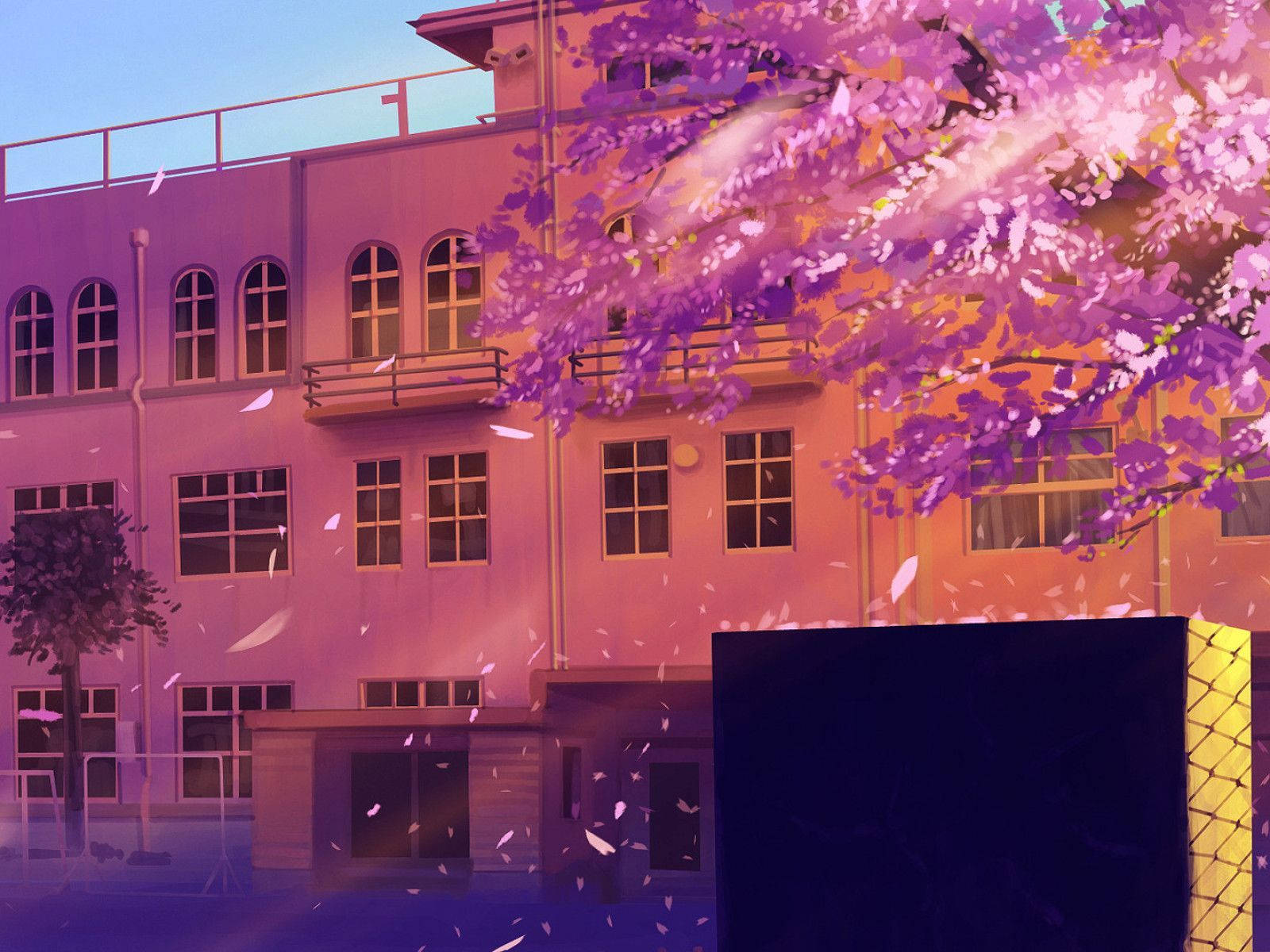 โรงเรียนอนิเมะวิวต้นซากุระ วอลเปเปอร์