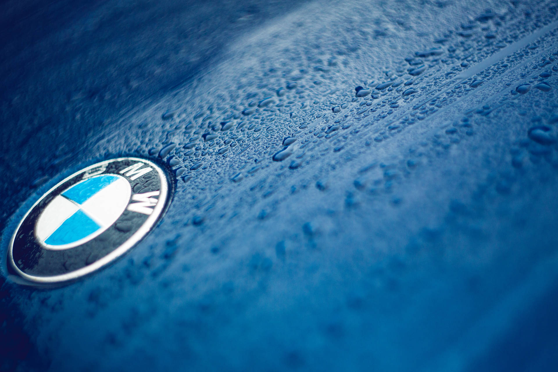 วอลเปเปอร์ระยะใกล้ของโลโก้ BMW บนรถสีน้ำเงินที่มีหยดน้ำ — Bmw วอลเปเปอร์