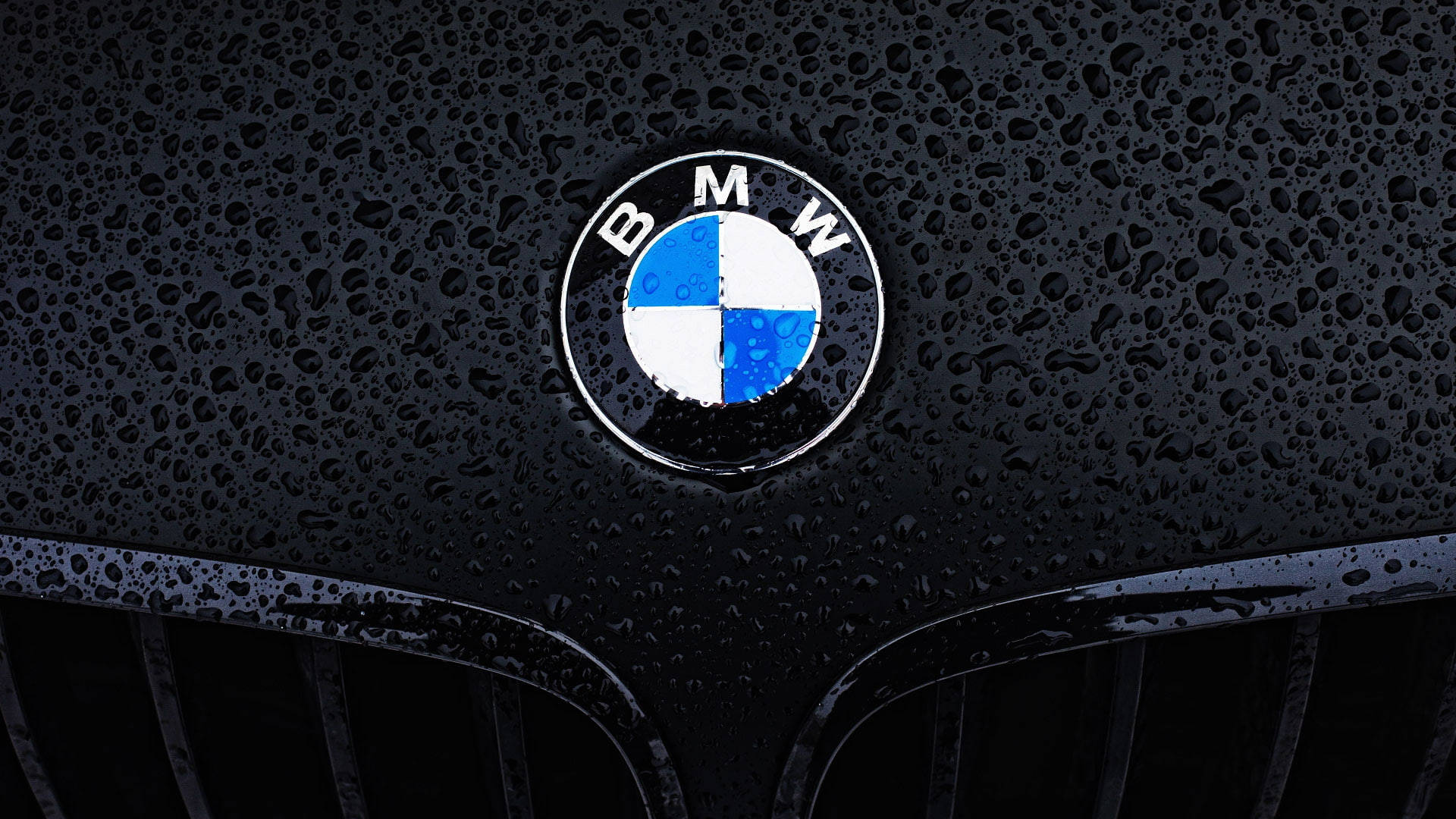 โลโก้ BMW ระยะใกล้ บนแล็ปท็อป วอลเปเปอร์