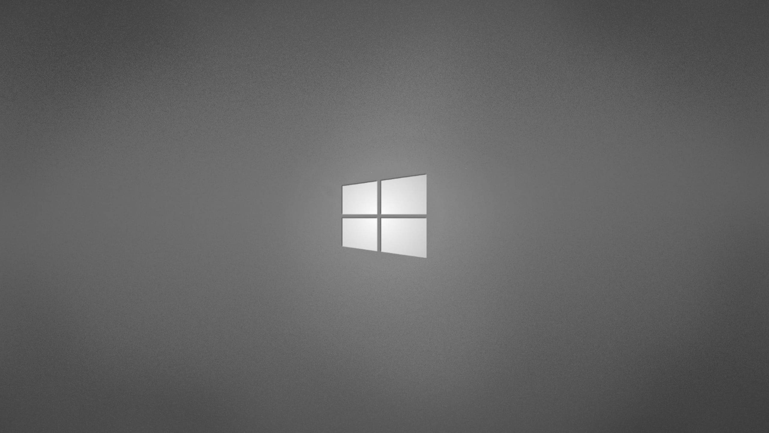 โลโก้ Windows สีเทาบนเดสก์ท็อปมืออาชีพ วอลเปเปอร์