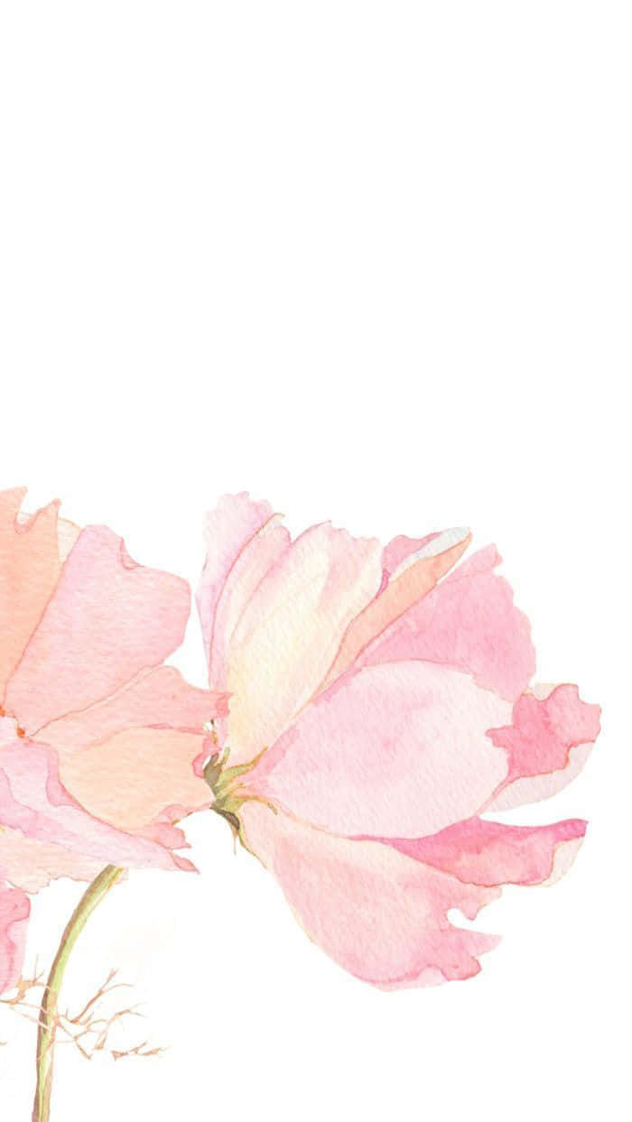 โอบรับความงามแห่งดอกไม้สีชมพูที่เบ่งบาน วอลเปเปอร์