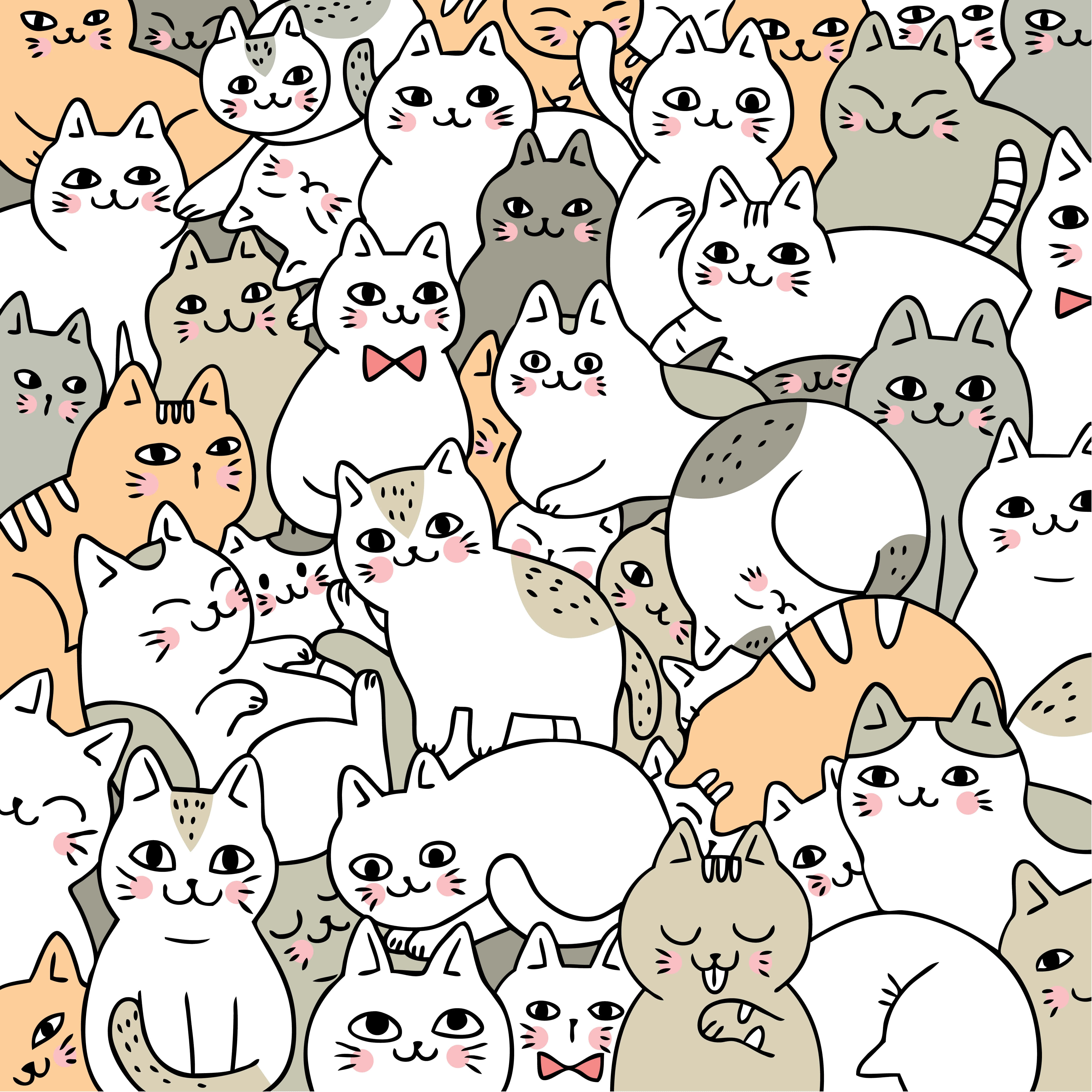 ใครจะต้านทานแมวน่ารักได้ล่ะ? วอลเปเปอร์