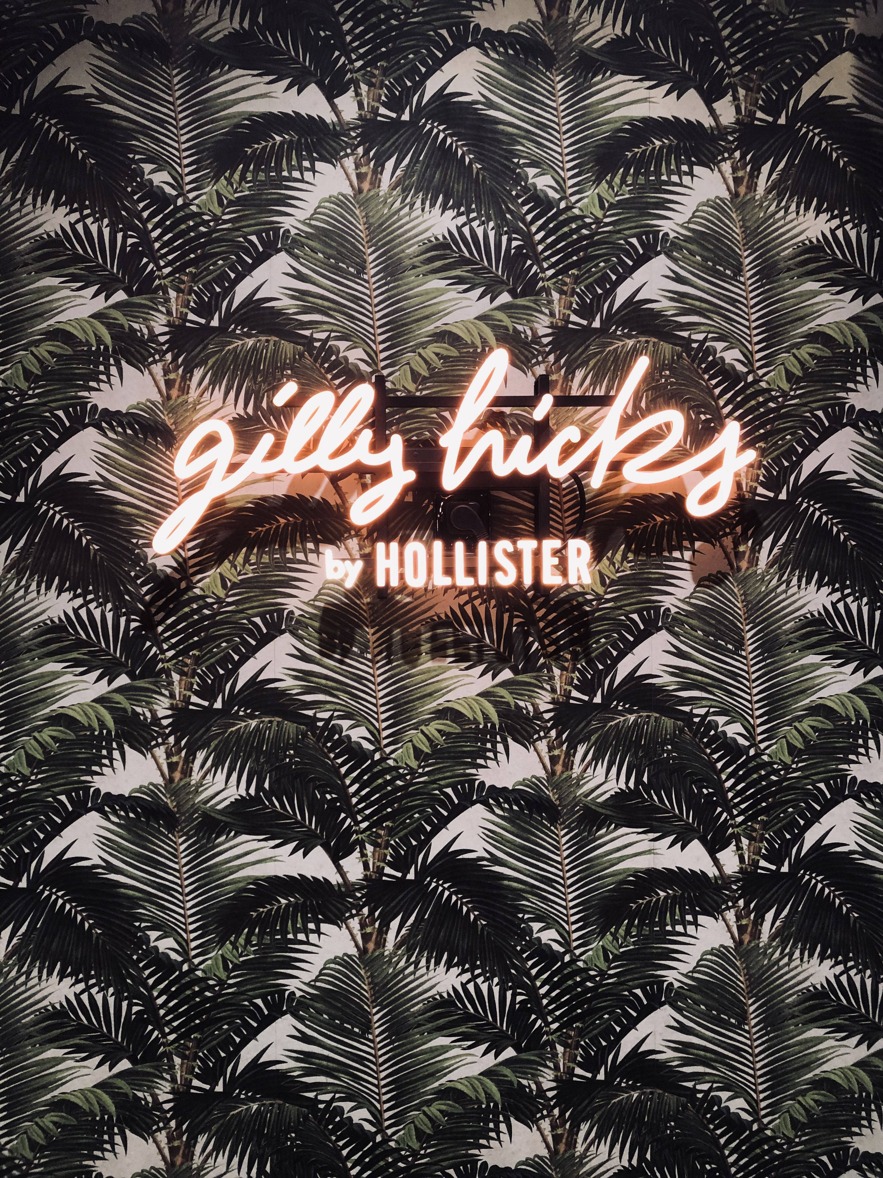 ใบปาล์ม Hollister วอลเปเปอร์