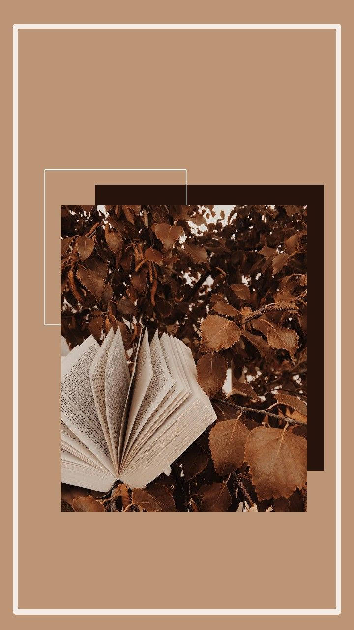 ใบไม้สีน้ำตาลสวยงามและหนังสือ วอลเปเปอร์