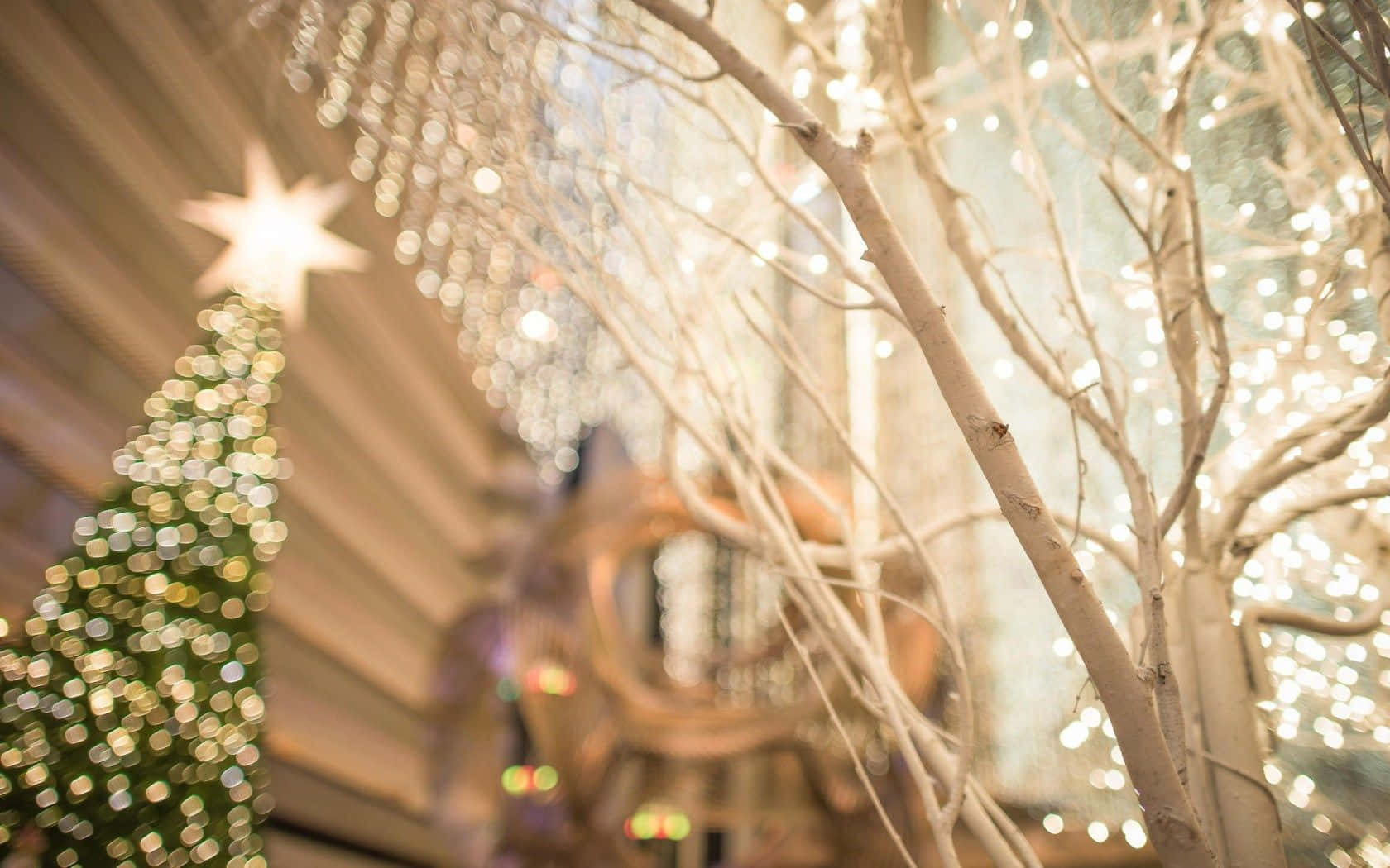 ไฟคริสต์มาสสุดมหัศจรรย์ส่องสว่างเทศกาลแห่งความสุข! วอลเปเปอร์