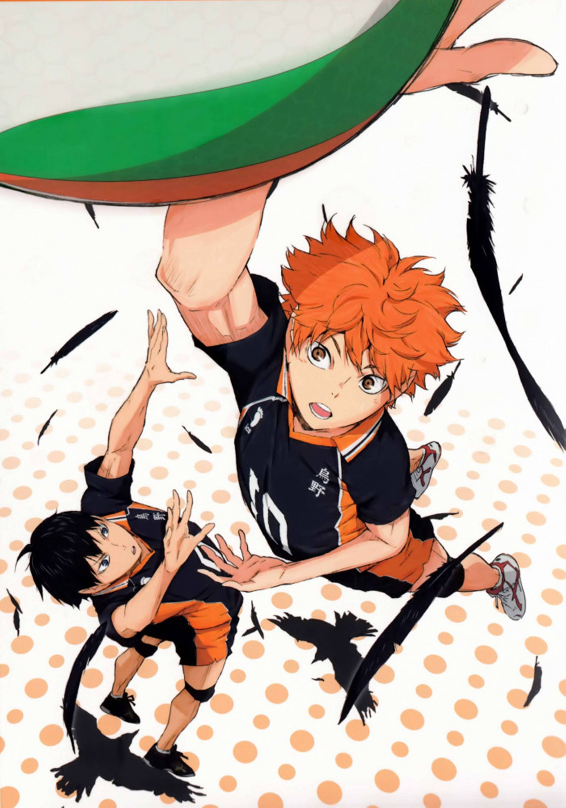 ไฮคิว 4K ฮินาตะกระโดดขึ้น วอลเปเปอร์
