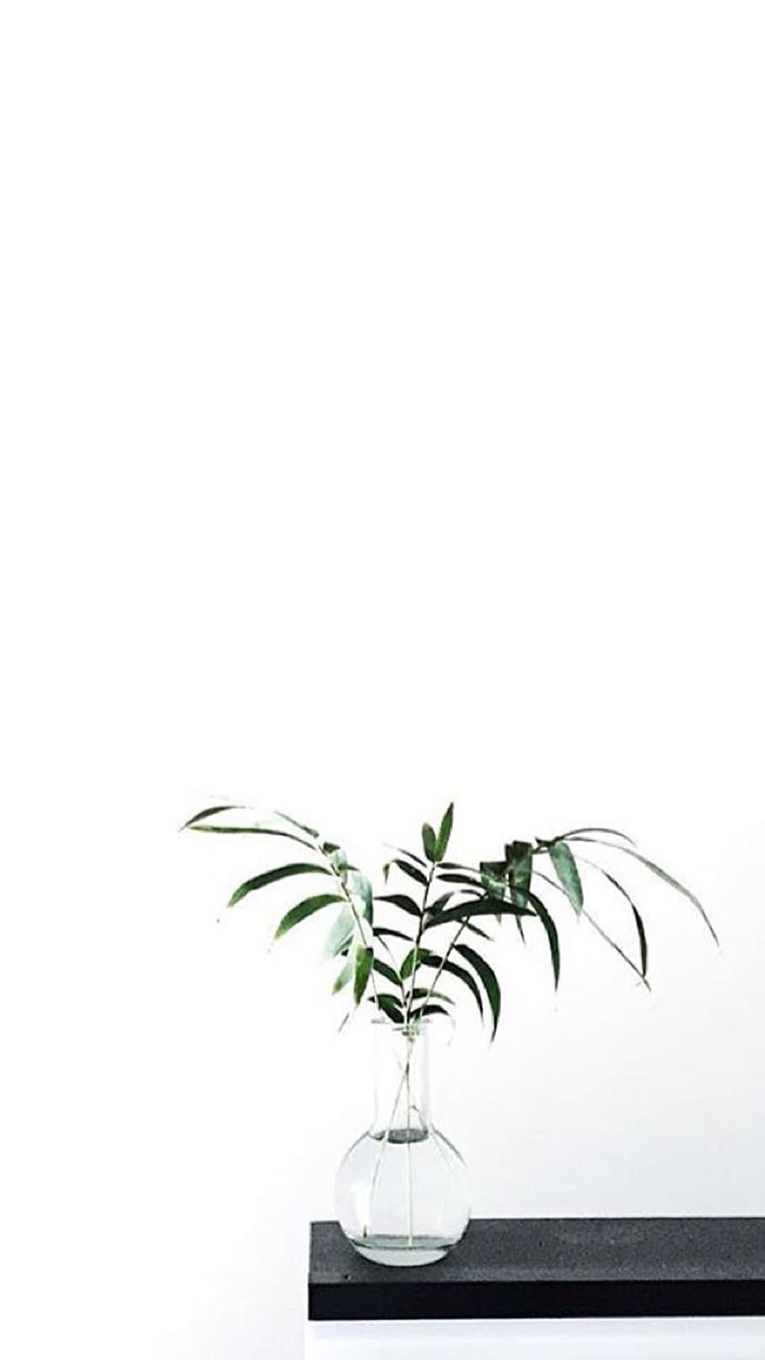 让世界知道Aesthetic White能让你保持时尚锐利。 วอลเปเปอร์