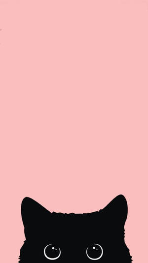 วอลเปเปอร์ Black cat iPhone 12 — iPhone 12 วอลเปเปอร์