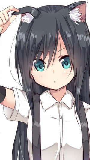 Cat Girl Cute Pfp สำหรับ TikTok — น่ารัก สวยงาม GIF วอลเปเปอร์