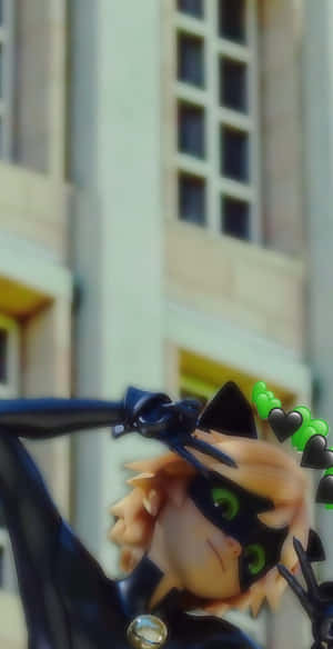 รูปภาพ Cat Noir — แมวสีดำ วอลเปเปอร์