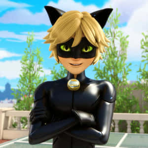 รูปภาพ Cat Noir — แมวสีดำ วอลเปเปอร์