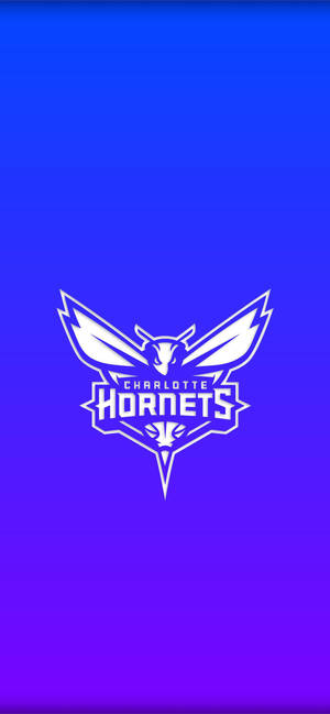 วอลเปเปอร์ Charlotte Hornets เกรเดียนท์น้ำเงิน — iPhone 17 วอลเปเปอร์