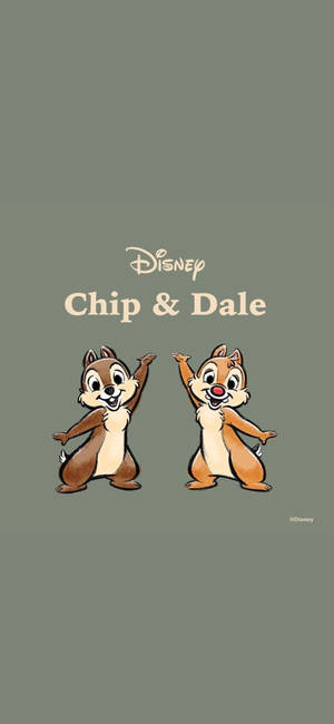 วอลเปเปอร์ Chip N Dale บนพื้นหลังสีเทา — หัวเว่ย พูรา 80 โปร วอลเปเปอร์