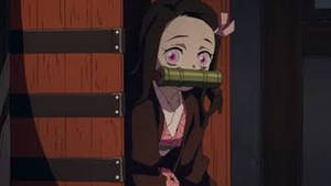 Demon Slayer Nezuko กระบุงใหม่
