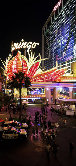 Vegas iPhone — iPhone 15 วอลเปเปอร์