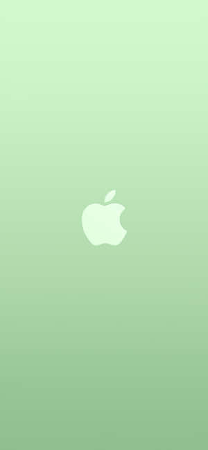 iPhone 11 สีเขียว — เสี่ยวหมี่ 18 โปร แม็กซ์ วอลเปเปอร์