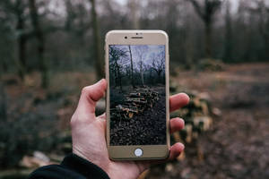 บุคคลกำลังถ่ายรูปฟืนด้วย iPhone — iPhone 8 วอลเปเปอร์