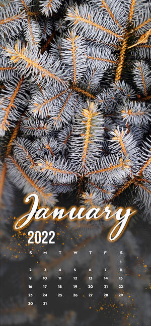 January 2022 white pine tree wallpaper — iPhone 16 วอลเปเปอร์