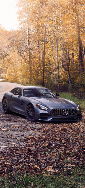 Mercedes AMG iPhone ต้นไม้ใบร่วง — iPhone 14 Plus วอลเปเปอร์