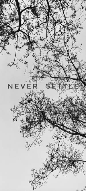 Never Settle ขาวดำต้นไม้ — พิกเซล 11 วอลเปเปอร์