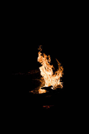 วอลเปเปอร์ Oled Camp Fire