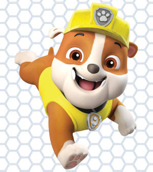 วอลเปเปอร์ Paw Patrol รับเบิล — Oppo Find N6 วอลเปเปอร์