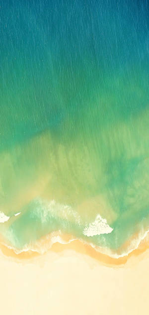 Realme ชายหาดสีเขียว